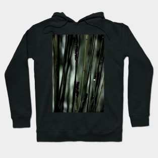 Wild Flower 03 Hoodie